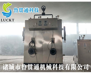 生物質蒸汽發生器